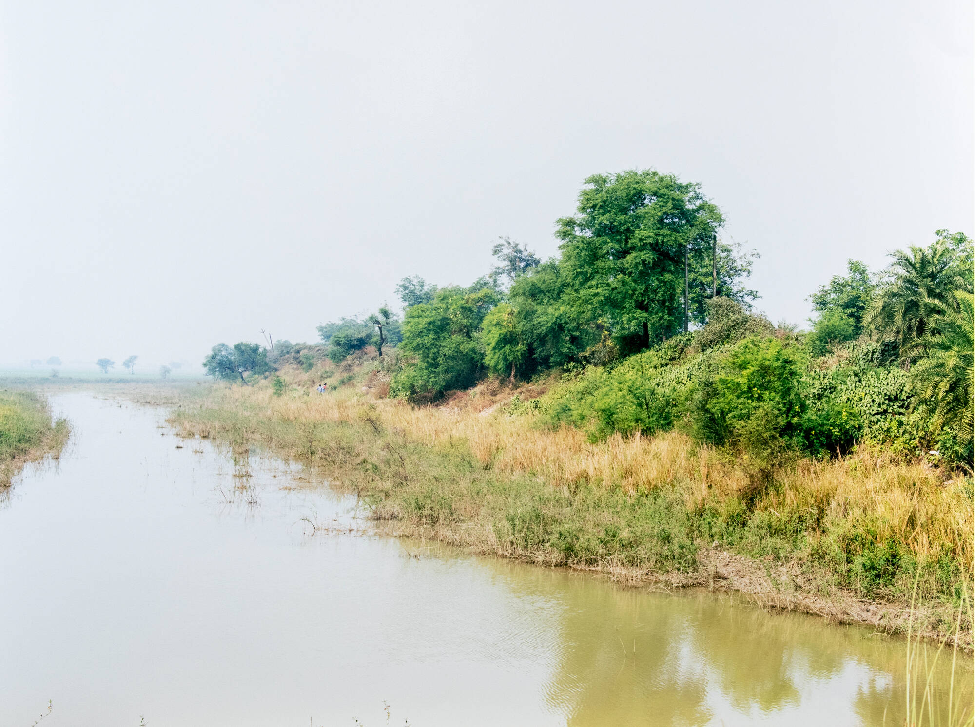 A horizontal color photograph of a river with some trees to the right side. The river takes up most of the photo and goes off to the left.